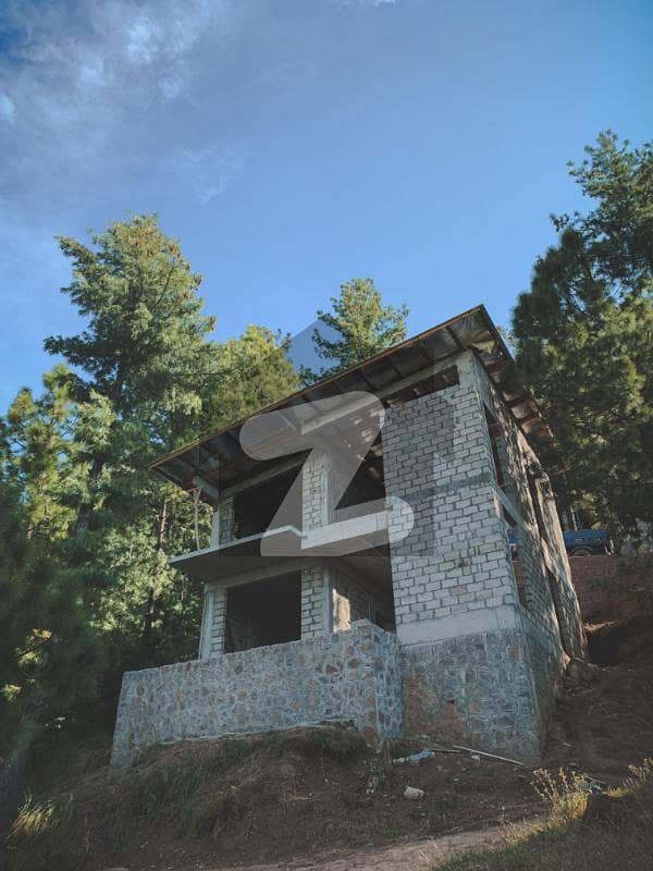 24 