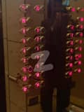 31 
