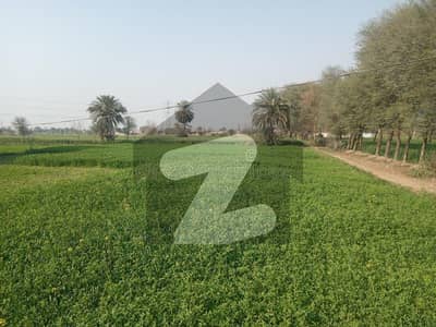 بیدیاں