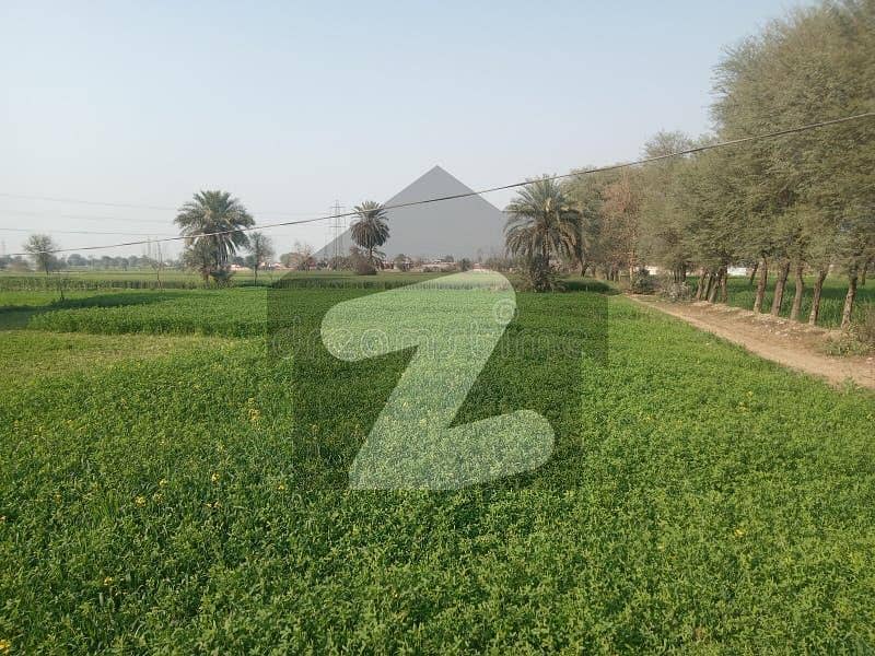 A Agricultural Land Of 1 Kanal In Rs. 1500000 A Agricultural Land Of 1 Kanal In Rs. 1500000