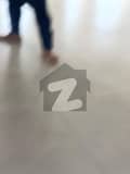 26 