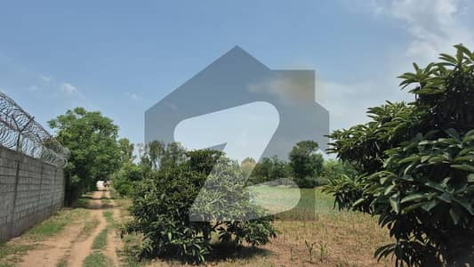 AN