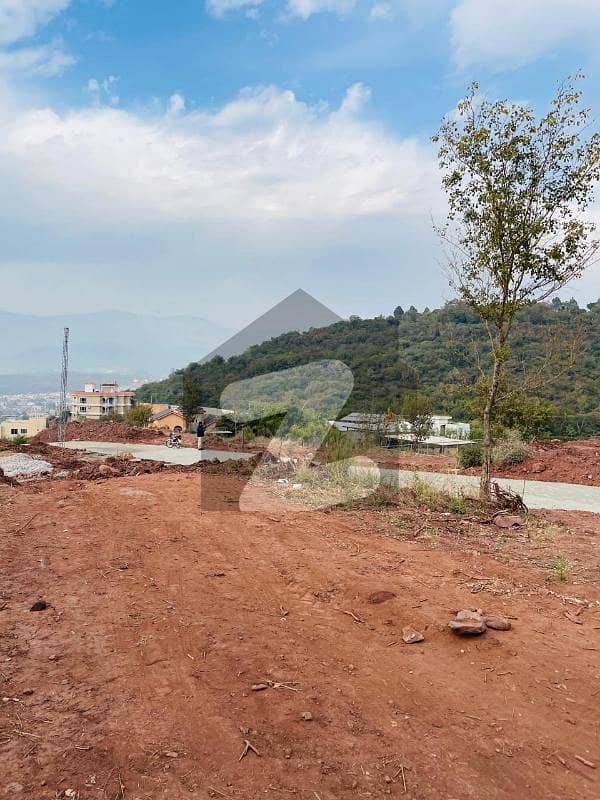 16 Marla Plot For Sale In Banigala 16 Marla Plot For Sale In Banigala