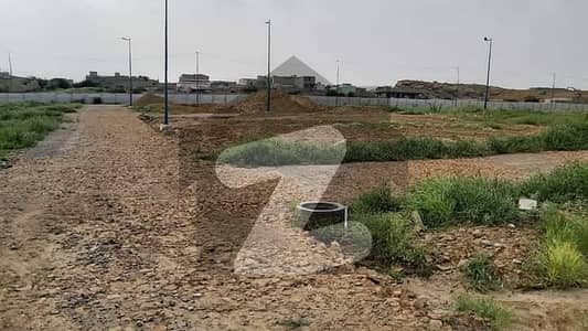 نارتھ