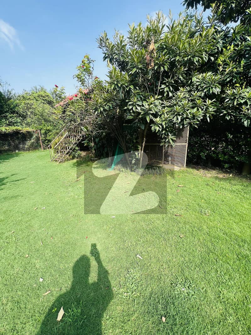 26 