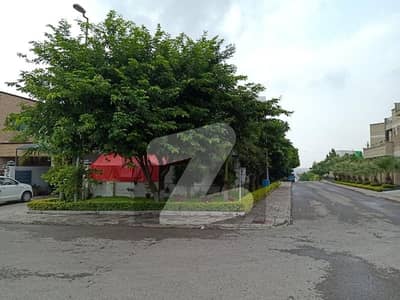 Dha