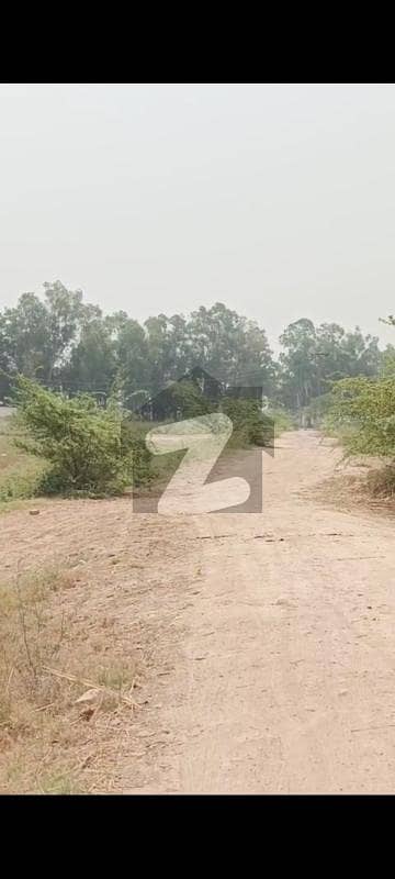 Commercial 200 Acre Land Available For Sale On Main Jati Umrah Road