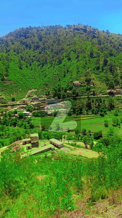 Margalla Hills Land at Below-Market Price Islamabad | Direct from Owner Margalla Hills Land at Below-Market Price Islamabad | Direct from Owner