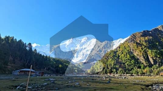ڈی