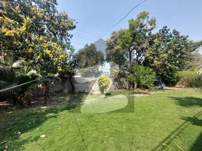 ایم