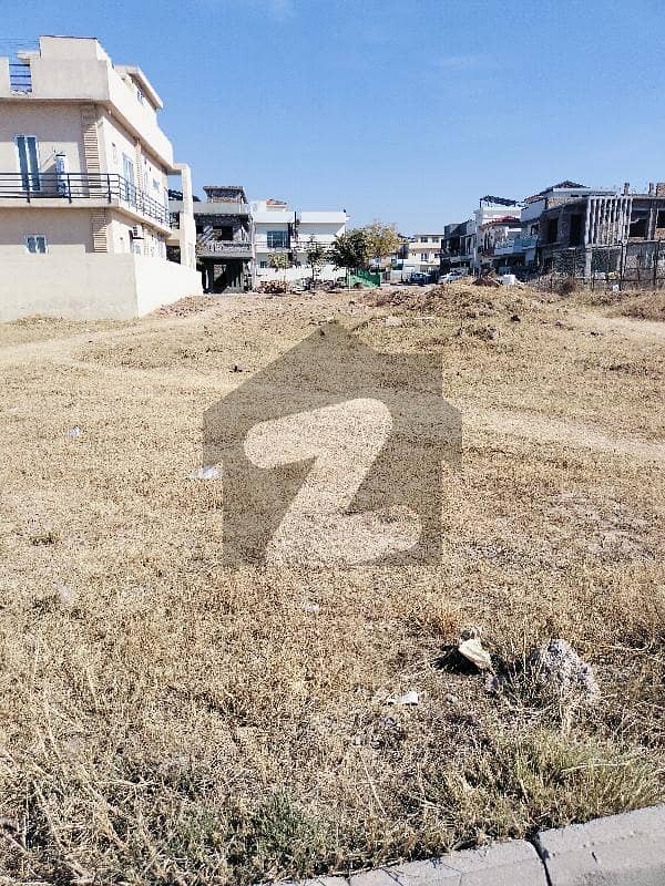 One Kanal Back Open Green Patch Plot For Sale One Kanal Back Open Green Patch Plot For Sale