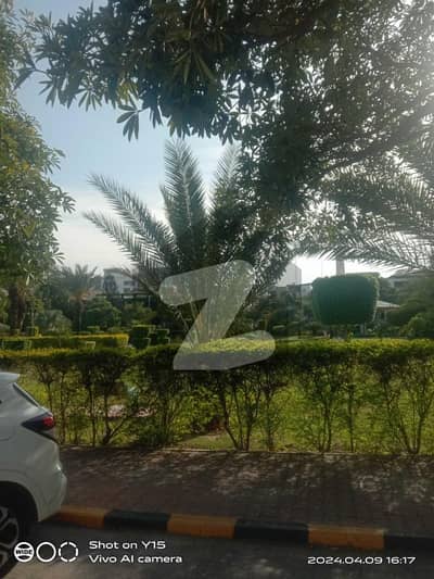 ایف