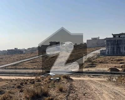 جناح
