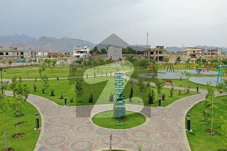 ڈی