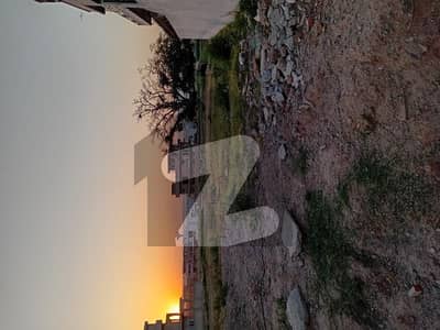 جی