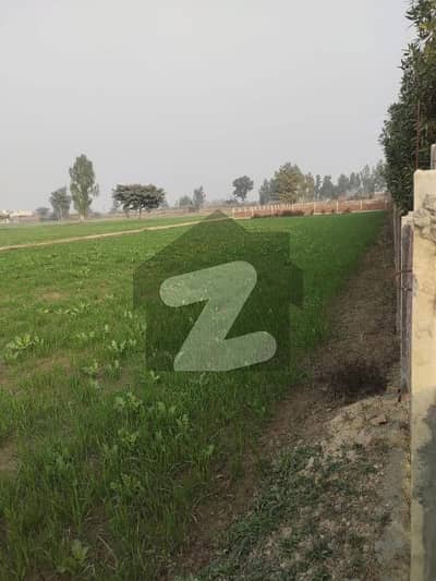 سوئے-اے-اصل