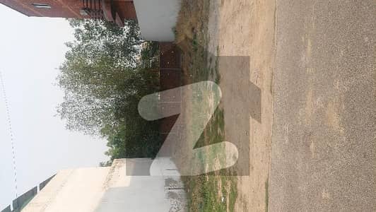 طارق