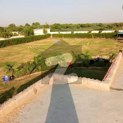 آرچرڈ
