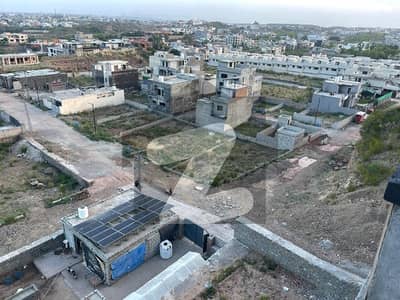 شاہ