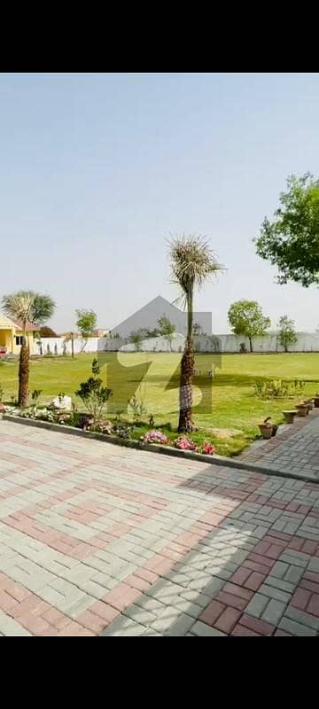 7 Kanal Fully Furnished Farmhouse For Sale 7 Kanal Fully Furnished Farmhouse For Sale