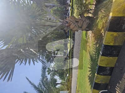 Gulberg