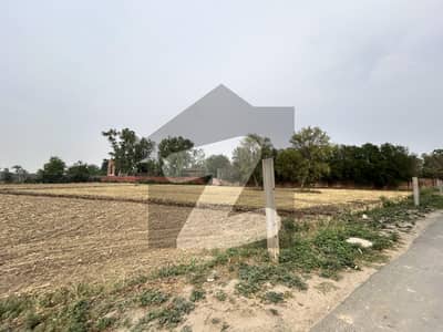 بیدیاں