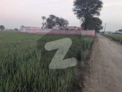 الہ آباد روڈ لیاقت پور میں 80 کنال زرعی زمین 2.7 کروڑ میں برائے فروخت۔