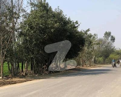 برکی