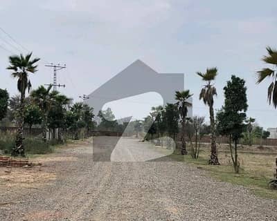 فارمرز