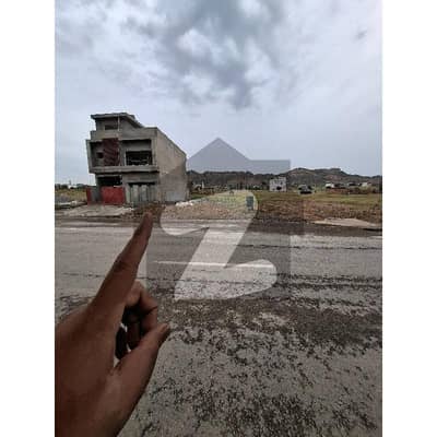 Main