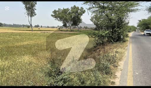بیدیاں