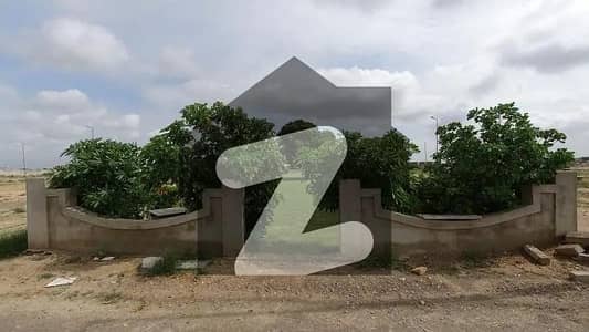 240