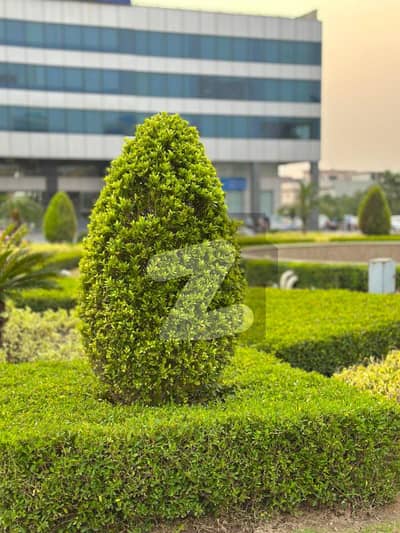5 Marla Residential Plot As Per Your Budget For Construction Or Investment 5 Marla Residential Plot As Per Your Budget For Construction Or Investment
