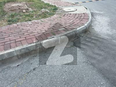 C3