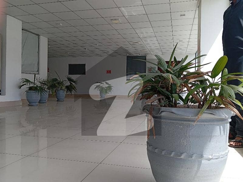 1200sqft Very Neat And Clean 1200sqft Very Neat And Clean