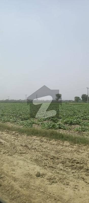 OPEN LAND FOR SALE IN BEDIAN ROAD OPEN LAND FOR SALE IN BEDIAN ROAD