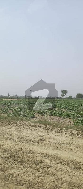 OPEN LAND FOR SALE IN BEDIAN ROAD OPEN LAND FOR SALE IN BEDIAN ROAD