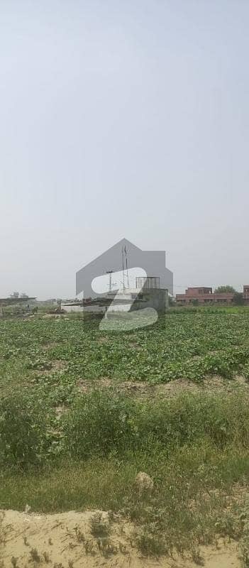 بیدیاں روڈ لاہور میں 1 کنال زرعی زمین 35.0 لاکھ میں برائے فروخت۔ بیدیاں روڈ لاہور میں 1 کنال زرعی زمین 35.0 لاکھ میں برائے فروخت۔
