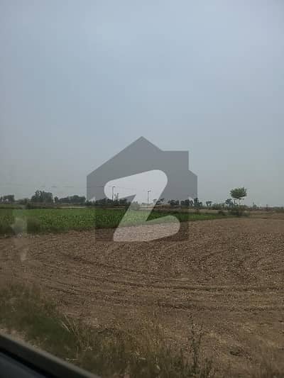 FARM
