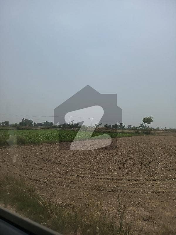 FARM HOUSE LAND FOR SALE IN BEDIAN ROAD FARM HOUSE LAND FOR SALE IN BEDIAN ROAD