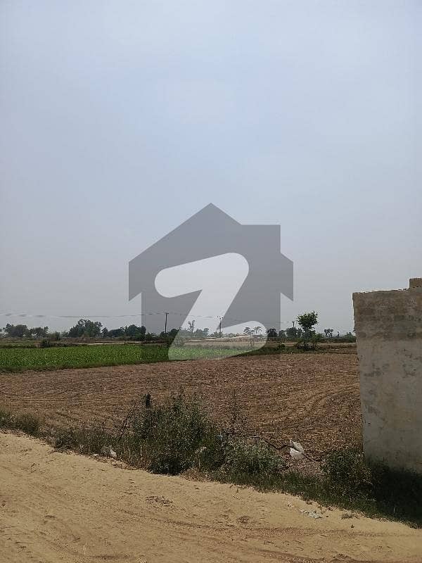FARM HOUSE LAND FOR SALE IN BEDIAN ROAD FARM HOUSE LAND FOR SALE IN BEDIAN ROAD