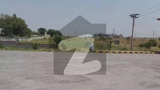 ایف