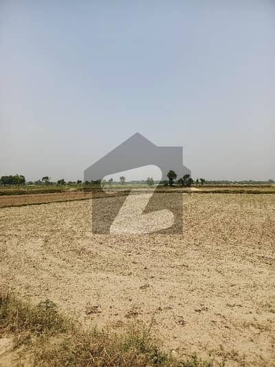 FARM