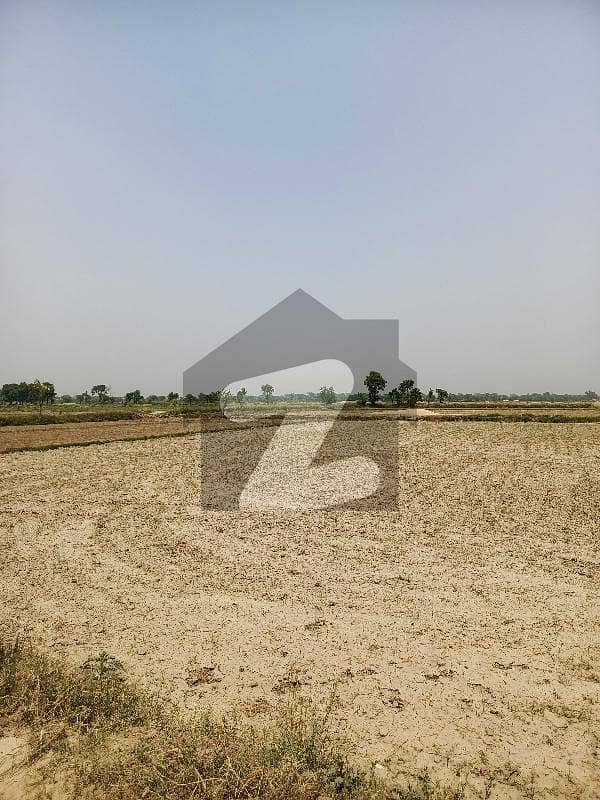 FARM HOUSE LAND FOR SALE IN BEDIAN ROAD FARM HOUSE LAND FOR SALE IN BEDIAN ROAD
