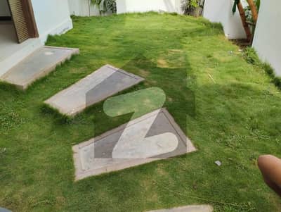 Ground