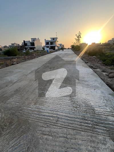 جناح