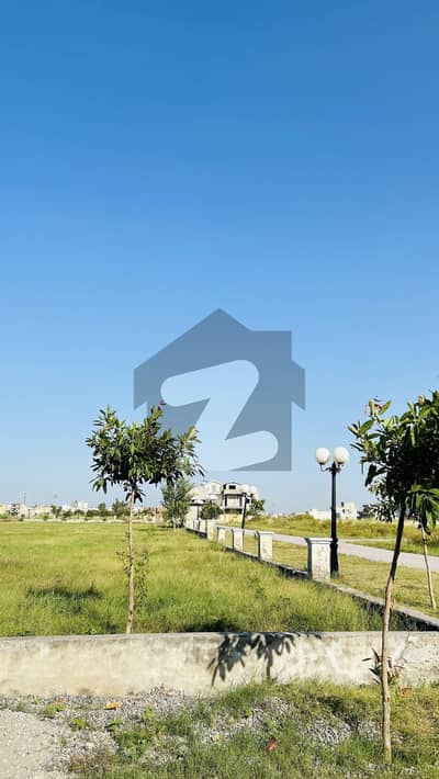 جناح