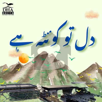 ڈی