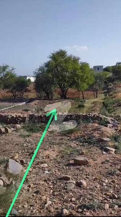 سراےٗ خربوزہ اسلام آباد میں 10 مرلہ رہائشی پلاٹ 30.0 لاکھ میں برائے فروخت۔
