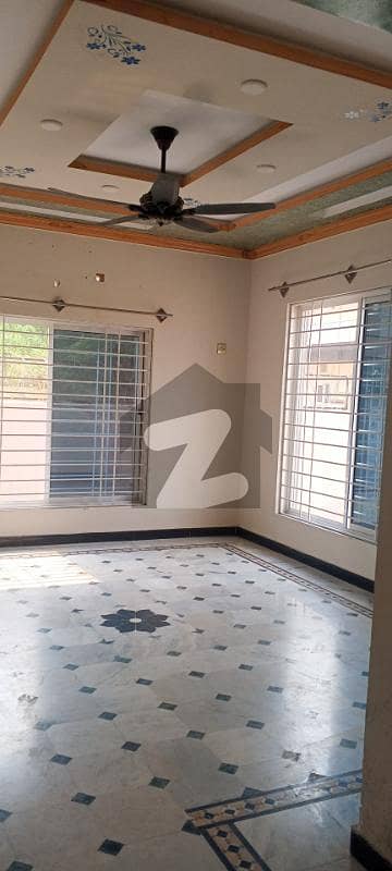 20 